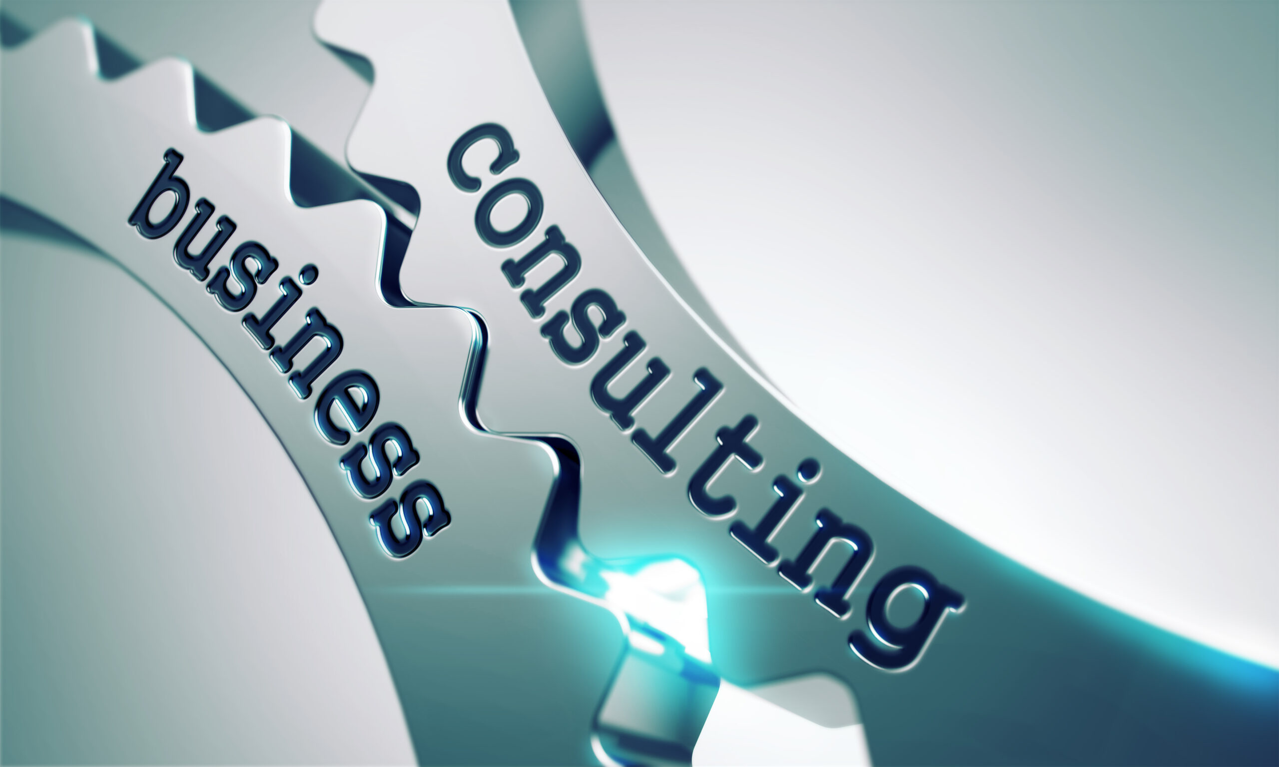 Consulting Services